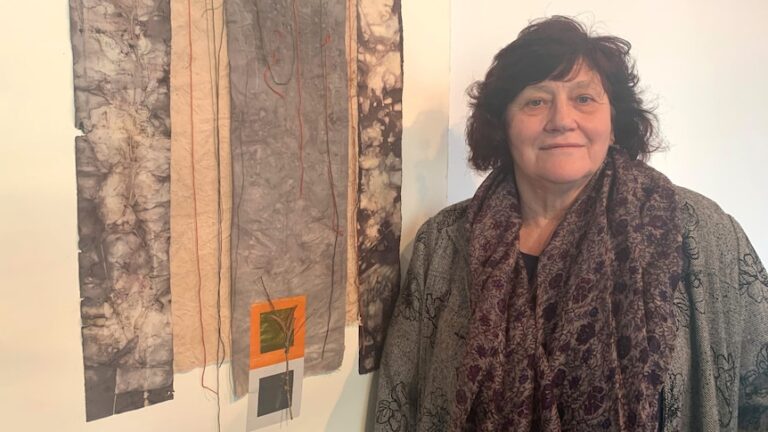 Climate change, food poverty among themes tackled at Albury-Wodonga art exhibition - ABC News