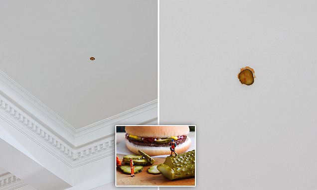 Michael Lett art exhibition: Sydney artist exhibit a McDonald's pickle flung onto the ceiling | Daily Mail Online