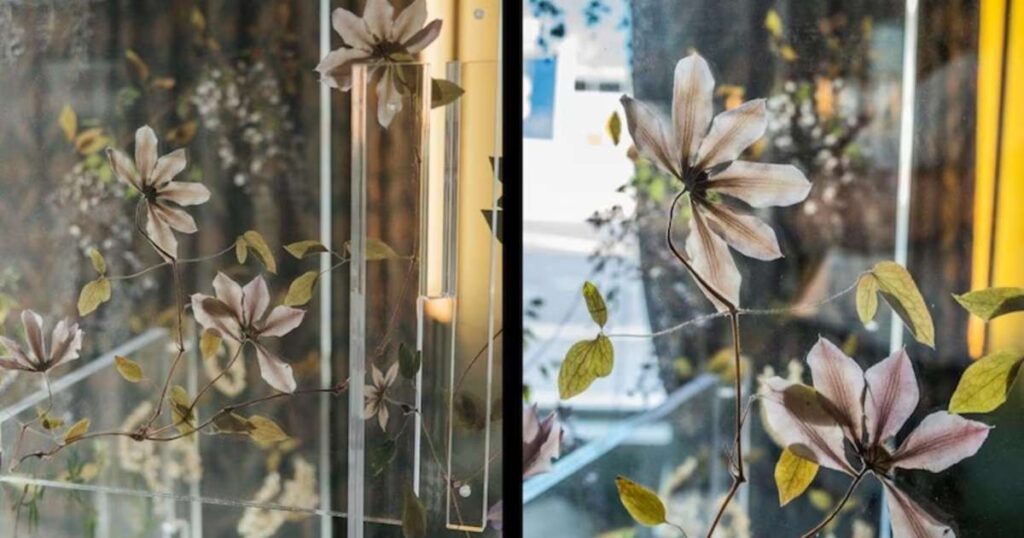 Radisson Collection launches immersive botanical art exhibition at newly opened Milan hotel as part of their global Art Series initiative